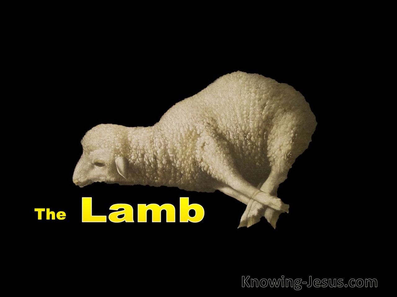 Isaiah 53:7 Led As A Lamb To The Slaughter (white)